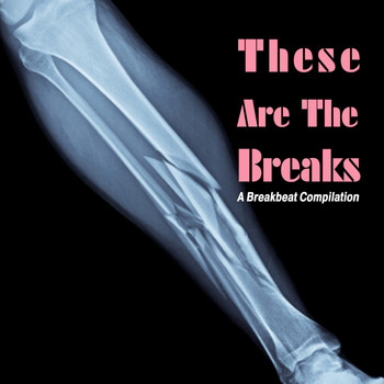 Various Artists - These Are The Breaks
