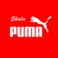 Ekala - Puma