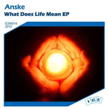 Anske - What Does Life Mean