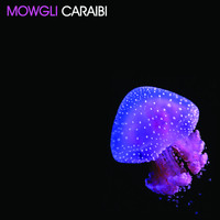 mowgli - Caraibi EP