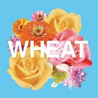 Wheat - Changes Is