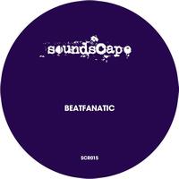 Beatfanatic - Fly Away