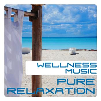 Various Artists - Wellness Music, Pure Relaxation