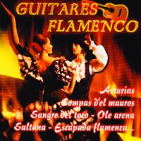 Gipsy - Guitares Flamenco