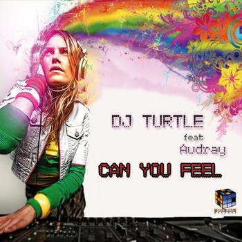 Dj Turtle featuring Audrey - Can You Feel