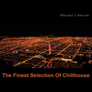 Various Artists - The Finest Selection of Chillhouse