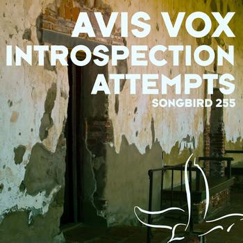 Avis Vox - Introspection Attempts