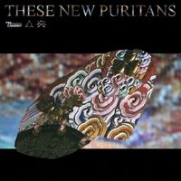 These New Puritans - Hologram