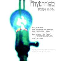 The Rhythmist - Sounds from the Bluelight District