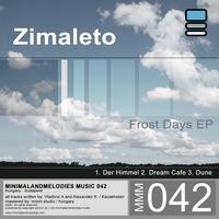 ZimaLeto - Frost Days