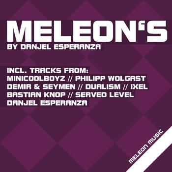Various Artists - Meleon's