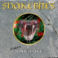 Snakebite - A Tribute to Whitesnake