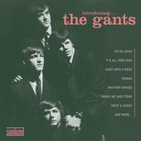 The Gants - Introducing The Gants