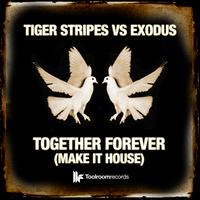 Tiger Stripes Vs Exodus - Together Forever (Make It House)