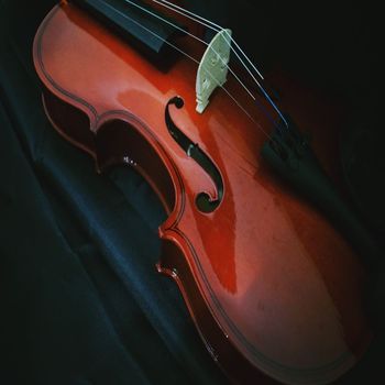 Walter Mazzaccaro - Absolute Classic