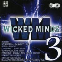 Wicked Minds - Wm3 (Explicit)
