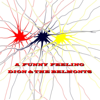 Dion & The Belmonts - A Funny Feeling