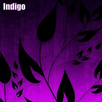 Indigo - Free