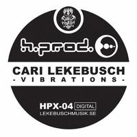 Cari Lekebusch - Vibrations