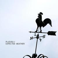 Plus49 - Expected Weather