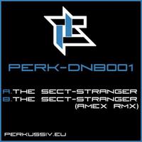The Sect - Stranger - Single