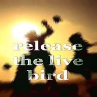 Motivated - Release The Live Bird (Electro House Music)