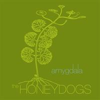 The Honeydogs - Amygdala
