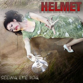 Helmet - Seeing Eye Dog