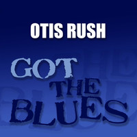Otis Rush - Got the Blues