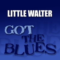 Little Walter - Got the Blues