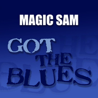 Magic Sam - Got the Blues