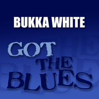 Bukka White - Got the Blues