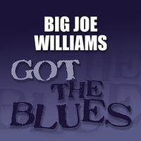 Big Joe Williams - Got the Blues