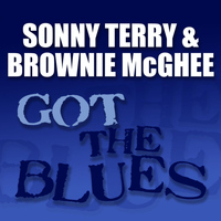 Sonny Terry - Got the Blues