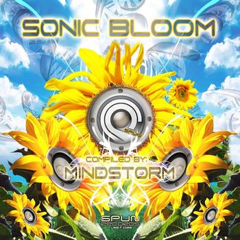 various artists by Mindstorm - SonicBloom