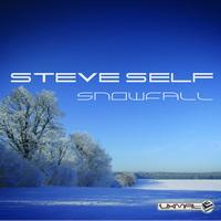 Steve Self - Snowfall