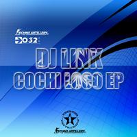 DJ Link - Cochi Loco