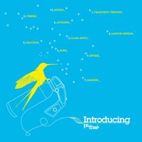 Various Artists - Introducing InFiné