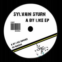 Sylvain Sturn - A Bit Like