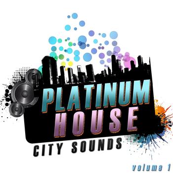 Various Artists - Platinum House Volume 1