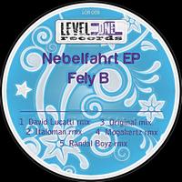 Fely B - Nebelfahrt