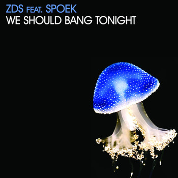 ZDS / Spoek - We Should Bang Tonight Ep