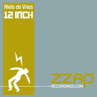 Niels De Vries - 12 Inch