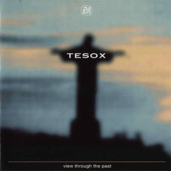 Tesox - View Through The Past