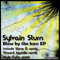 Sylvain Sturn - Blow By the Bass