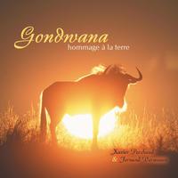 Gondwana - Gondwana, hommage à la Terre
