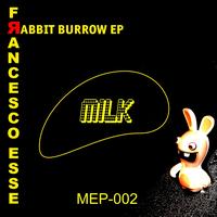 FRANCESCO ESSE - Rabbit Burrow - EP