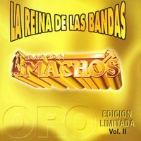 Banda Machos - La reina de las bandas Vol. II