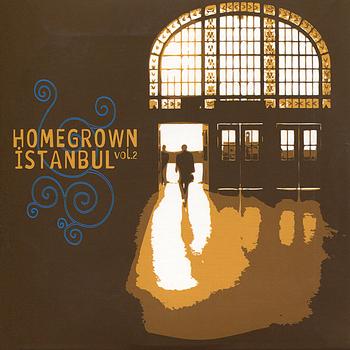 Various Artists - Homegrown Istanbul, Vol. 2