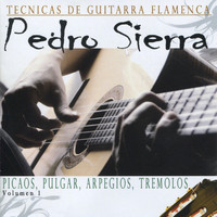 Pedro Sierra - Tecnicas de Guitarra Flamenca
